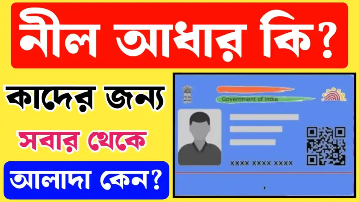 What is Blue Aadhaar